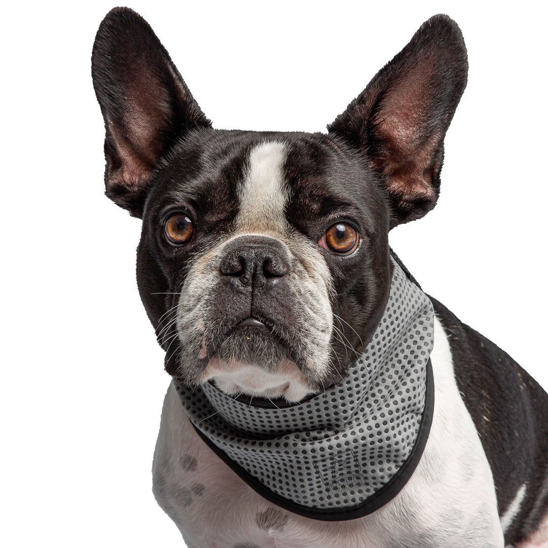 US Army Dog Cooling Bandana - Grey by GF Pet