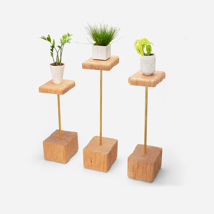 Stem by Formr