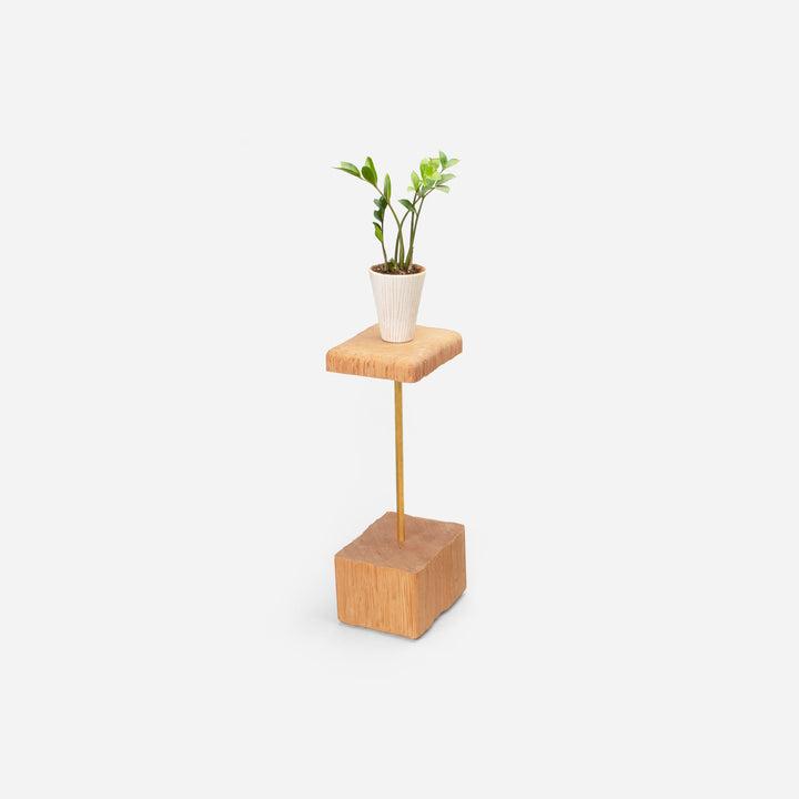 Stem by Formr