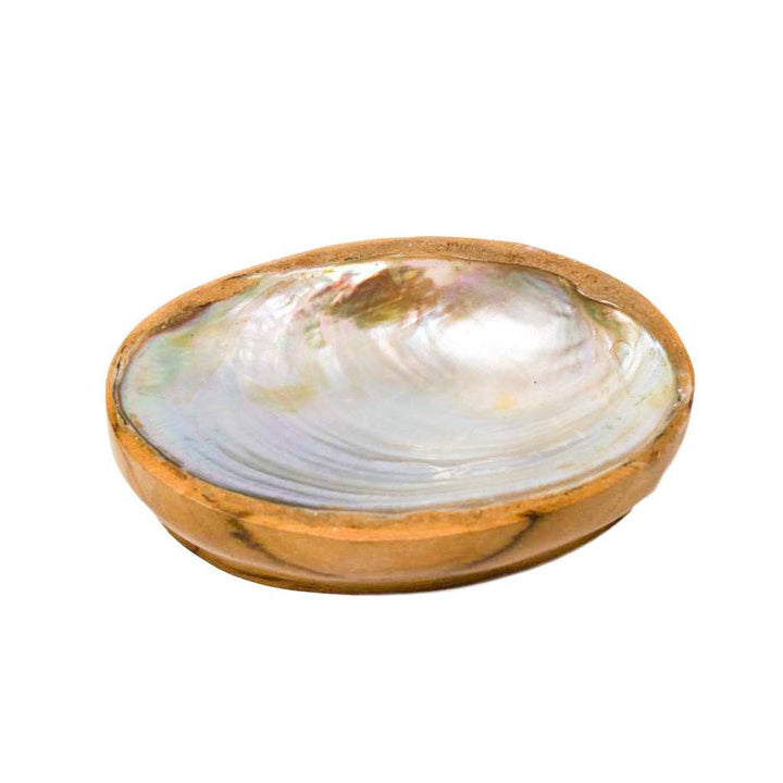 TEAK SHELL SOAP DISH - REGULAR SIZE by POPPY + SAGE